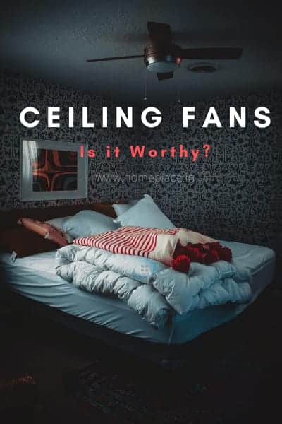is ceiling fan worthy?
