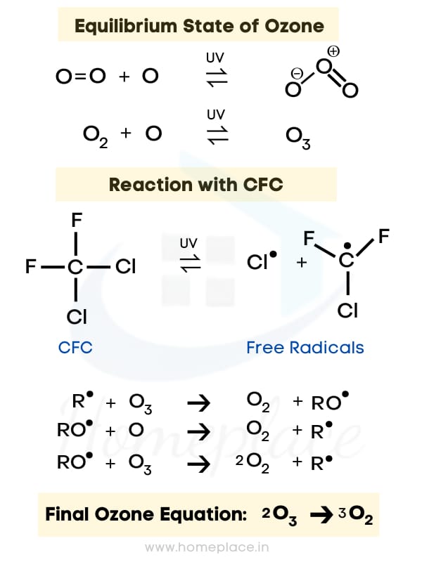 CFC and Ozone reaction